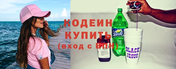 сатива Новодвинск