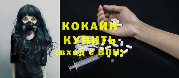 сатива Новодвинск