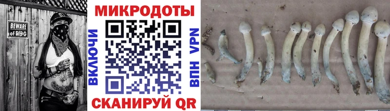 купить наркотики цена Крымск Псилоцибиновые грибы ЛСД