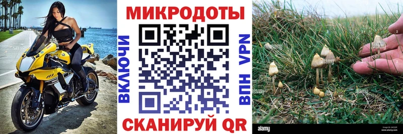 Галлюциногенные грибы Cubensis Крымск