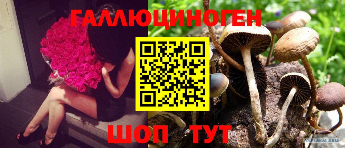 Крымск  Галлюциногенные грибы ЛСД  Вход с VPN 