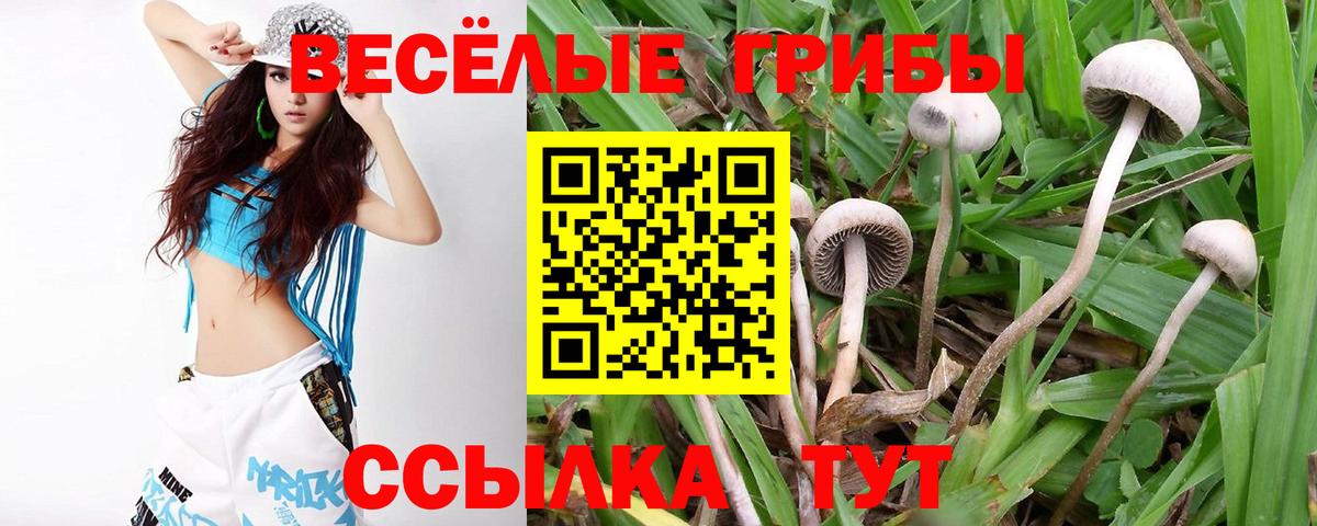 Галлюциногенные грибы GOLDEN TEACHER Крымск